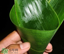 粽子葉能冷凍嗎？粽子葉放冰箱冷藏還是冷凍？