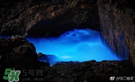浙江多地驚現(xiàn)藍(lán)眼淚現(xiàn)象 藍(lán)眼淚是什么？