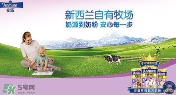 安滿滿睿幼兒配方奶粉怎么樣？安滿滿睿奶粉怎么沖？
