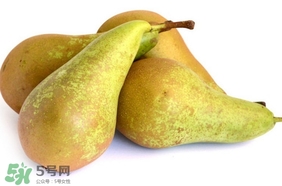 比利時啤梨要削皮嗎？比利時啤梨怎么放軟