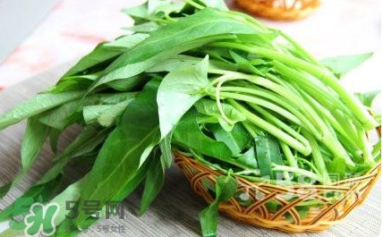 空心菜有毒嗎？空心菜需要焯水嗎？
