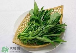 空心菜能和雞蛋一起吃嗎？雞蛋可以和空心菜一起吃嗎