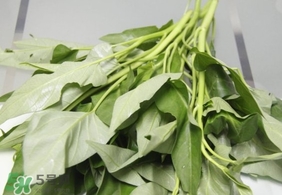 空心菜可以生吃嗎？空心菜能生吃嗎