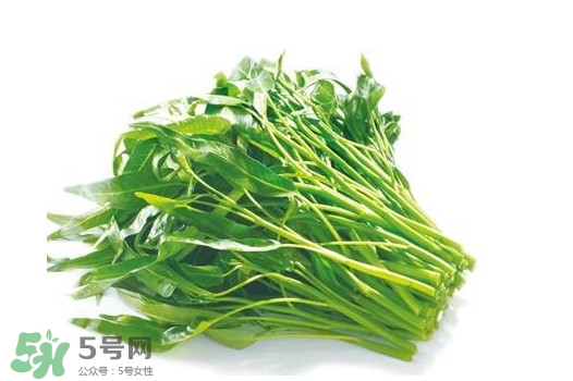 空心菜有毒嗎？空心菜需要焯水嗎？