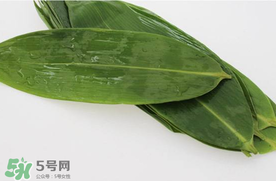 新鮮粽葉怎么處理？新鮮粽子葉怎樣處理？