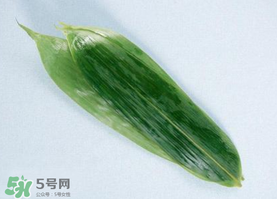 箬葉可以包粽子嗎？箬葉怎么包粽子？