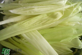 玉米葉可以包粽子嗎？包棕子用玉米葉可以嗎?