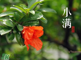 ?小滿可以回娘家嗎？?小滿能回娘家嗎？