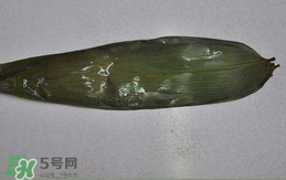 粽葉怎么曬干？粽葉怎么曬干不卷？