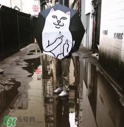 ripndip是什么牌子？ripndip是什么檔次？