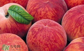 桃子和西瓜一起吃會(huì)中毒嗎？桃子和西瓜能一起吃嗎？