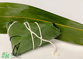 新鮮粽葉怎么處理？新鮮粽子葉怎樣處理？