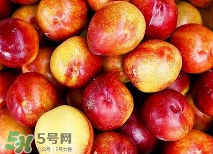 桃子的種類(lèi)有哪些？哪種桃子最好吃？