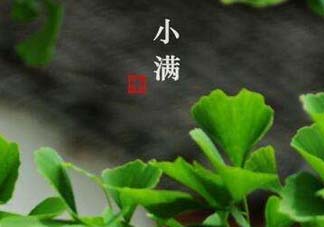 ?小滿可以回娘家嗎？?小滿能回娘家嗎？