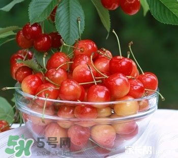 櫻桃是熱性還是涼性？櫻桃能多吃嗎？