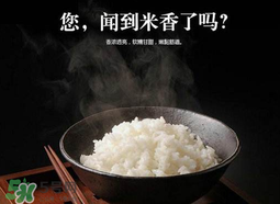 大米可以包粽子嗎？包粽子大米要泡多久？