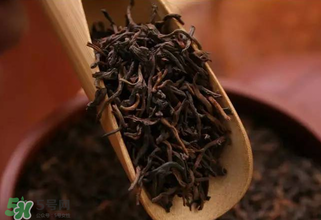 普洱茶能不能天天喝？天天喝普洱茶好嗎？