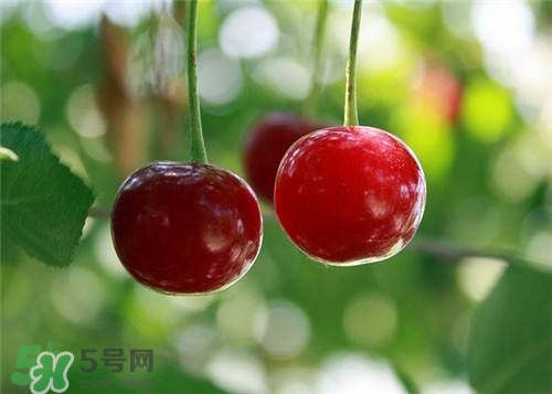 哺乳期能吃櫻桃嗎？哺乳期吃櫻桃寶寶會(huì)上火嗎？