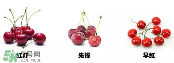 櫻桃和車厘子有什么區(qū)別？櫻桃和車厘子哪個貴？