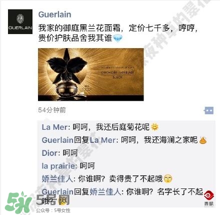嬌蘭和嬌蘭佳人一樣嗎？嬌蘭和嬌蘭佳人什么聯(lián)系？