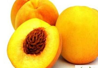 黃桃是發(fā)物嗎？黃桃是不是發(fā)物？