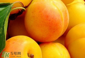 黃桃是什么季節(jié)的？黃桃是轉(zhuǎn)基因的嗎