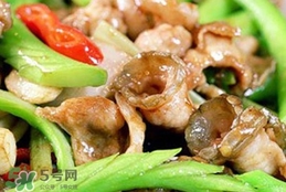鱷魚肉有毒嗎？鱷魚肉有寄生蟲嗎