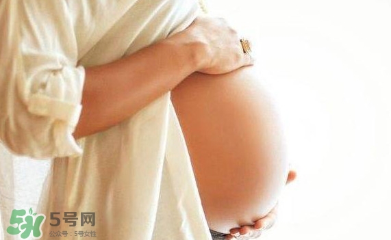 孕婦可以吃肉松蛋糕嗎？孕婦能吃肉松面包嗎