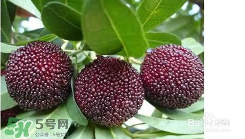 楊梅怎么吃好吃？楊梅怎么吃不酸？
