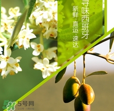 橄欖油可以去黑頭嗎？橄欖油怎么去黑頭？