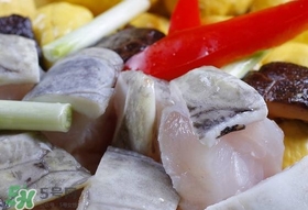 鱷魚肉有刺嗎？鱷魚肉有什么功效