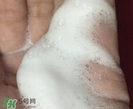 百雀羚三生花洗面奶多少錢？百雀羚三生花洗面奶價格
