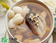 鱷魚肉燉湯要去皮嗎？鱷魚肉煲湯新鮮的好還是干的好