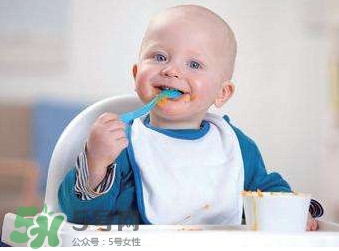 寶寶幾個月可以吃肉松？寶寶多大可以吃肉松