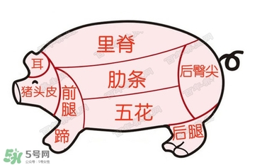 后臀尖多少錢一斤？豬后臀尖在哪？