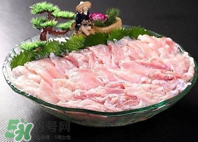 鱷魚肉是發(fā)物嗎？鱷魚肉是不是發(fā)物