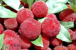 楊梅吃多了會上火嗎？楊梅吃多了會胖嗎？