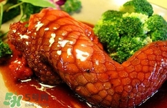 鱷魚肉是寒性的嗎？ 鱷魚肉是寒性還是溫性？