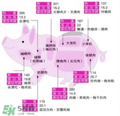 里脊肉是哪個(gè)部位？里脊肉是哪里的肉