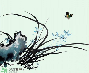 空谷幽蘭是什么書？空谷幽蘭講的是什么？
