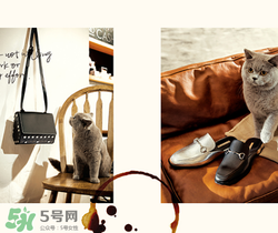 belle是什么牌子？百麗是哪個(gè)國(guó)家的品牌？