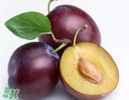 三華李可以放多久？三華李可以冷藏嗎？