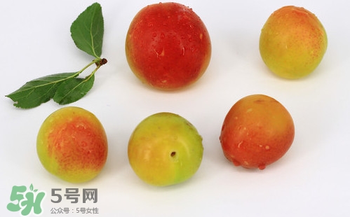 雙華李有什么營養(yǎng)？雙華李的營養(yǎng)價值