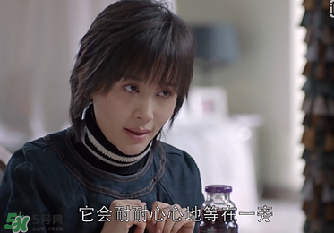 蒼蠅粉是什么意思？蒼蠅粉是什么東西？