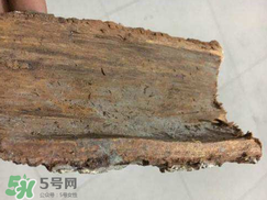 安哥拉樹皮的功效 安哥拉樹皮怎么用？