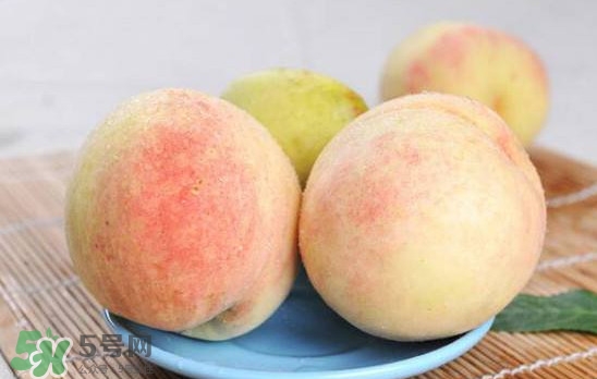 陽山水蜜桃多少錢一斤？無錫陽山水蜜桃價格