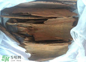 安哥拉樹皮能天天吃嗎？安哥拉樹皮天天吃可以嗎？