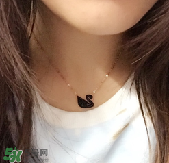 施華洛世奇黑天鵝是什么材質？施華洛世奇黑天鵝是水晶嗎？