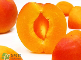 杏子幾月成熟？杏子什么時(shí)候成熟？