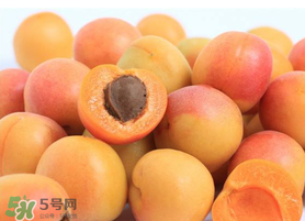 杏子一天吃幾個？杏子一次可以吃多少？